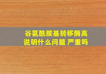 谷氨酰胺基转移酶高说明什么问题 严重吗